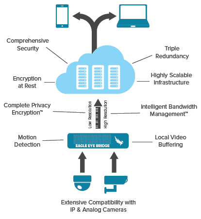 Eagle Eye Cloud Video Management System