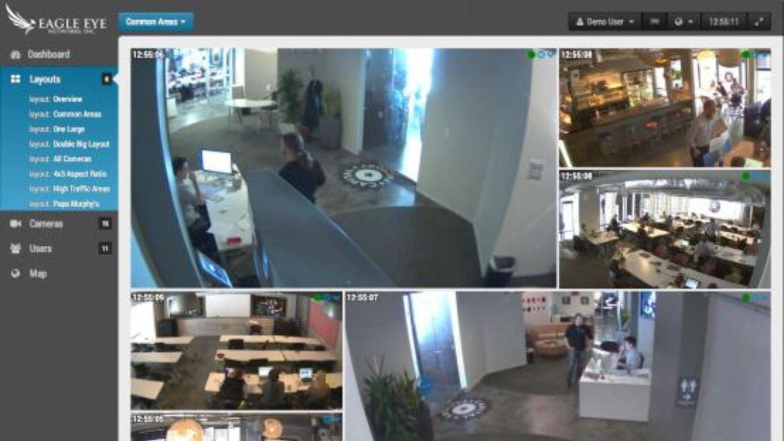 Video Surveillance for Security